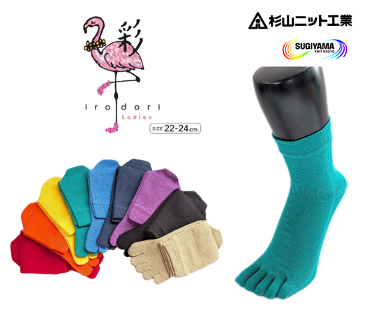 春夏用 ５本指ソックス・ミドルタイプ 22-24cm(S)