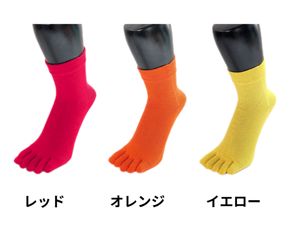 春夏用 ５本指ソックス・ミドルタイプ 22-24cm(S)